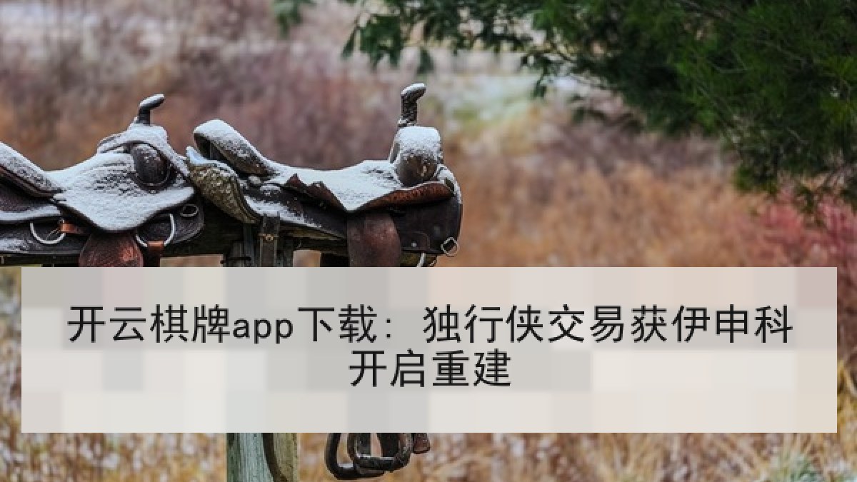开云棋牌app下载: 独行侠交易获伊申科开启重建