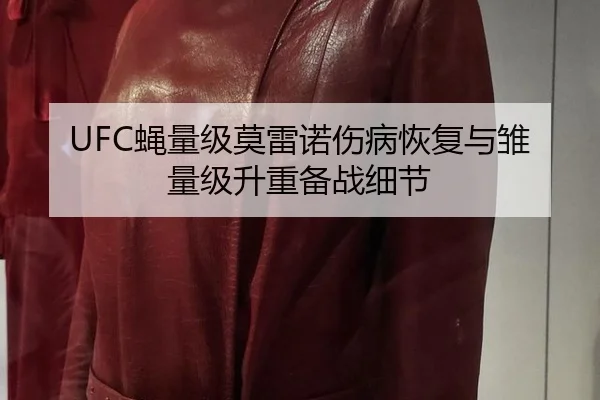 UFC蝇量级莫雷诺伤病恢复与雏量级升重备战细节