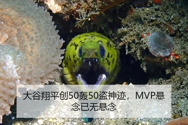 大谷翔平创50轰50盗神迹，MVP悬念已无悬念