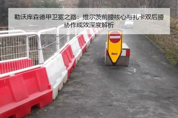 勒沃库森德甲卫冕之路：维尔茨前腰核心与扎卡双后腰协作成效深度解析