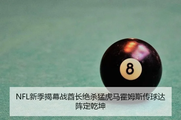 NFL新季揭幕战酋长绝杀猛虎马霍姆斯传球达阵定乾坤