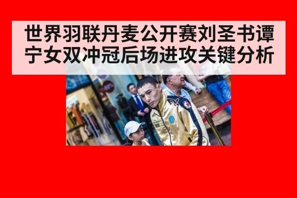 世界羽联丹麦公开赛刘圣书谭宁女双冲冠后场进攻关键分析