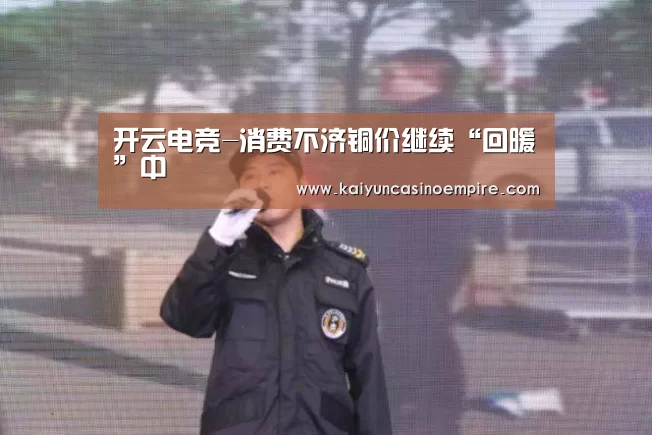 开云电竞-消费不济铜价继续“回暖”中(图2) 开云下载